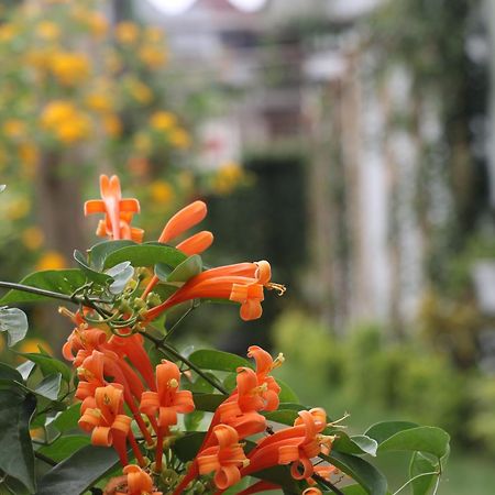 At Home Suites, Moshono Arusha Nkoanrua エクステリア 写真