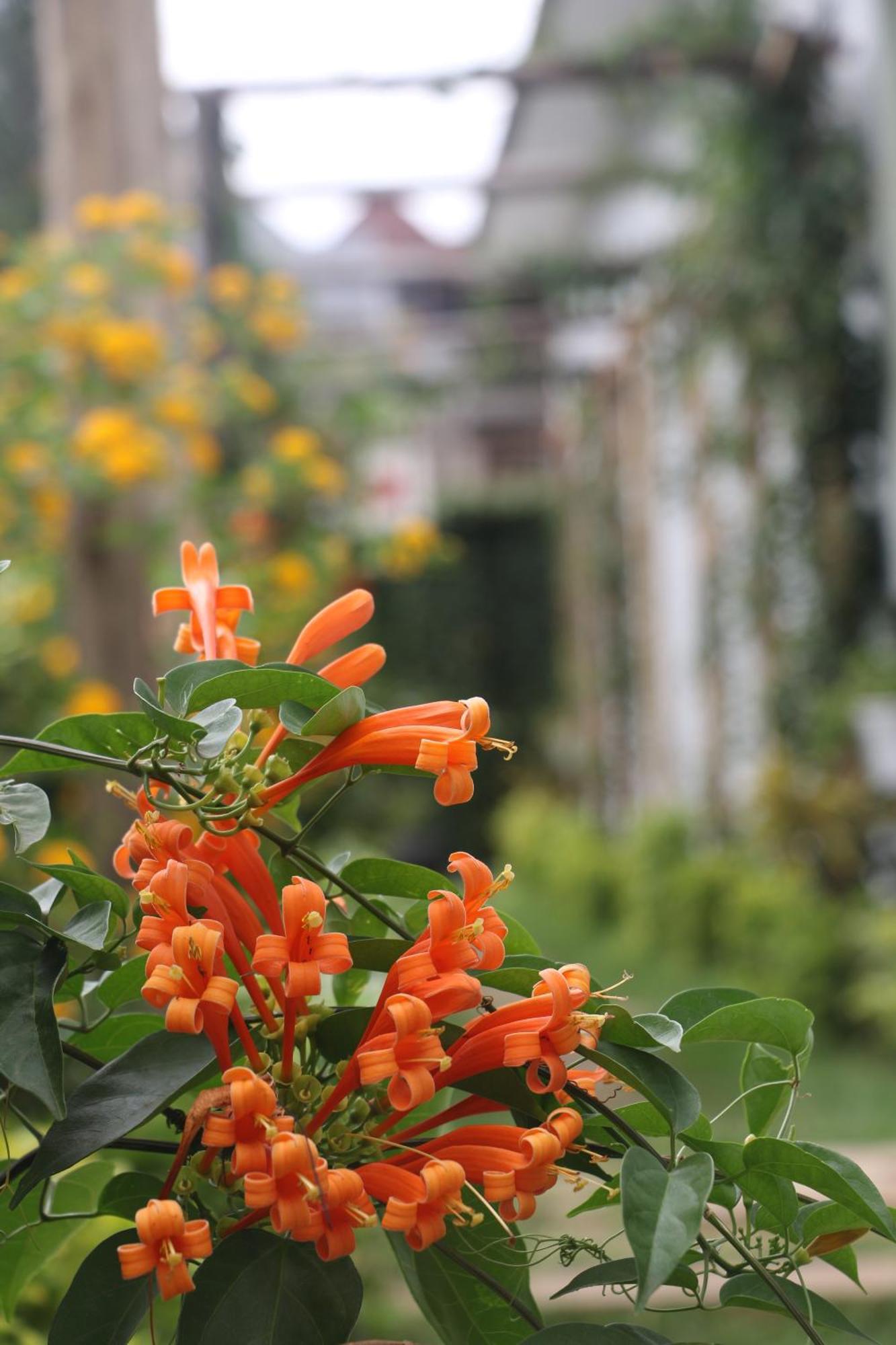 At Home Suites, Moshono Arusha Nkoanrua エクステリア 写真